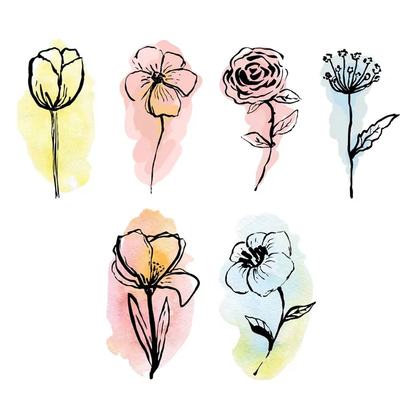 Clip-art botanique. Collection Fleurs noires sur fond coloré. Conception de produits cosmétiques. Illustration vectorielle pour icône, logo, autocollant, imprimable et tatouage. — Image vectorielle