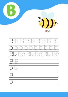 B harfi, üzerinde arı resmi ve yedi satır B harfi yazma alıştırması var. El yazısı pratiği ve alfabe öğrenmesi. Vektör illüstrasyonu.
