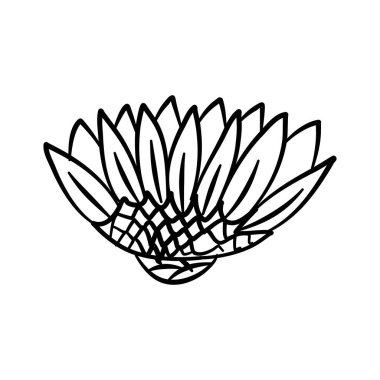 El çizimi çiçekler. Siyah beyaz çizgi sanatı. Vektör illüstrasyonu.