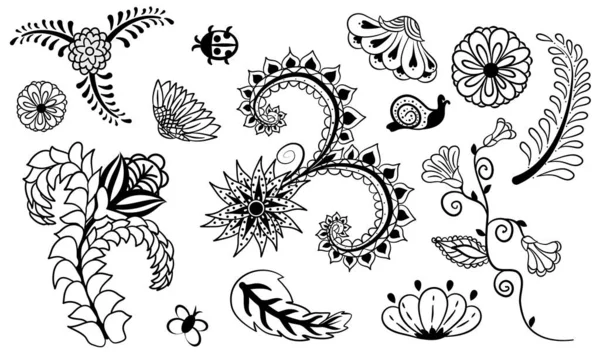 Çizimi Karalama Çiçekleri Yapraklar Böcekler Siyah Beyaz Çizgi Sanatı Vektör — Stok Vektör