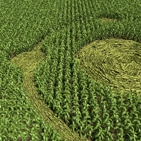 Green Crop Circle — Stock Photo, Image