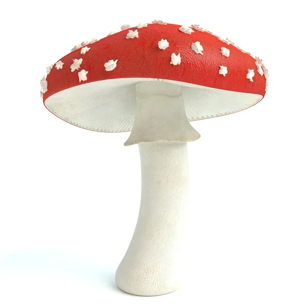 Setas Amanita — Foto de Stock