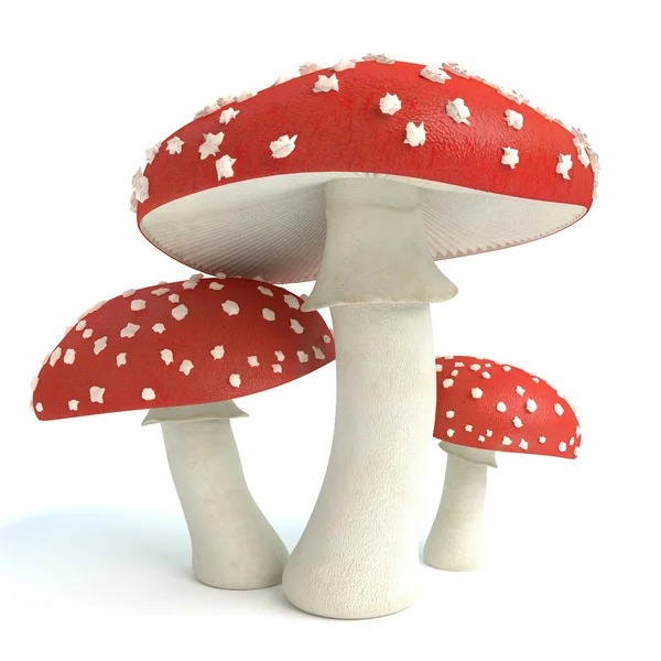 Amanita Mushrooms — Stock Photo, Image