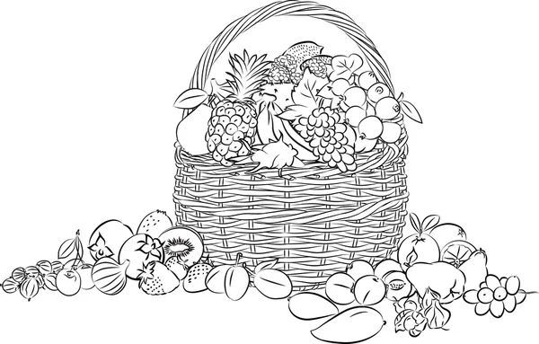 Вектор корзины фруктов — стоковый вектор