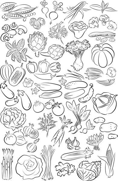 Vegetables — Stock Vector