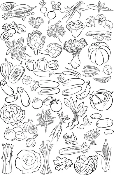 野菜 線画ストックベクター ロイヤリティフリー野菜 線画イラスト Depositphotos