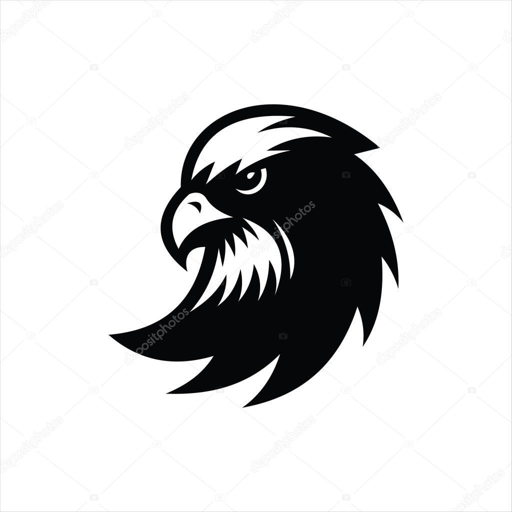Bold eagle head design featuring fierce expression and detailed feather texture