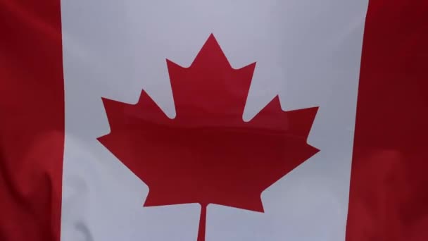 Bandera de Canadá ondeando en el viento — Vídeos de Stock