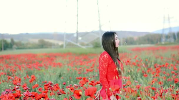 Joven chica morena hermosa en un campo de amapola al atardecer medita y disfruta de su vida — Vídeos de Stock