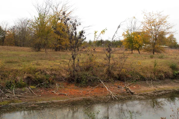 Sıkıcı, kasvetli, karanlık bir sonbahar günü ön planda kirli su olan bir tarlada. Gri gökyüzü, arka planda ağaçlar, çıplak dallar ve kurumuş yapraklarla.
