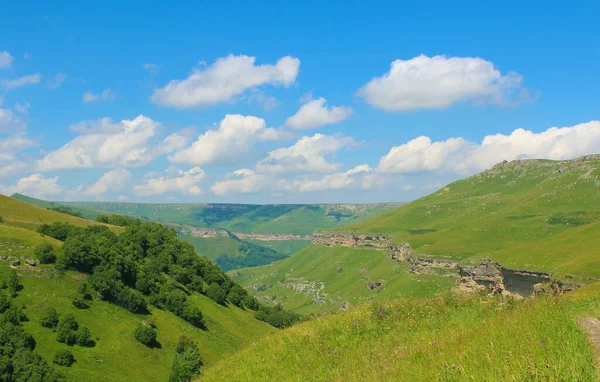 Güzel dağ yaz manzarası