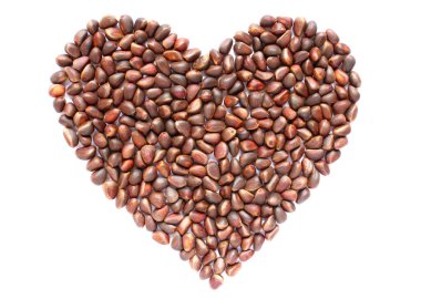 Beyaz arka planda izole edilmiş kalp şeklinde çam fıstıkları.. 