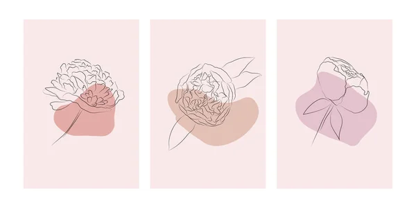 Zestaw trzech plakatów z minimalistyczną linią piwonii kwiat i abstrakcyjne kształty na różowym tle — Wektor stockowy