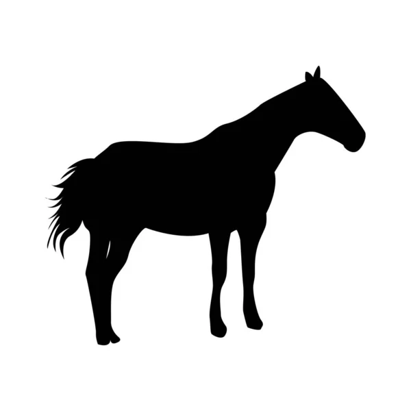 Calm horse silhouette - black vector outline on white — Stock Vector