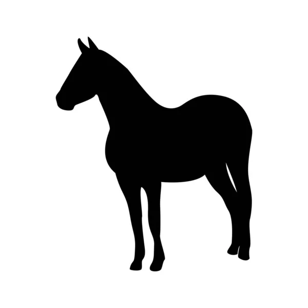 Спокойный силуэт лошади - черный векторный контур на белом — стоковый вектор