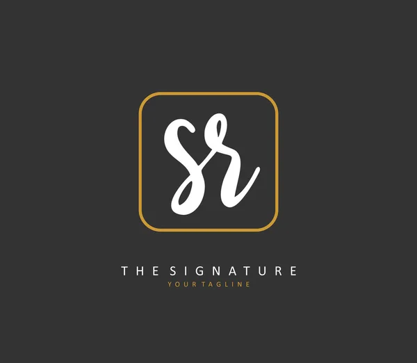 Initial Letter Handwriting Signature Logo Concept Handwriting Initial Logo Template — Stock Vector