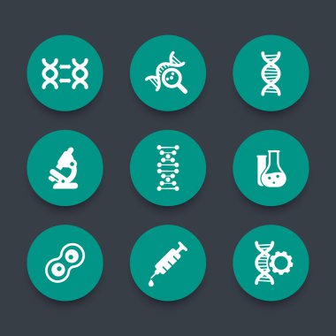 genetik simgeler, dna zinciri vektör işareti, genetik modifikasyon, dna çoğaltma, genetik araştırma, laboratuvar, yeşil yuvarlak simgeler seti, vektör illüstrasyon