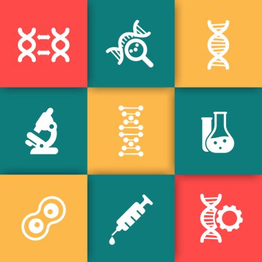 genetik simgeler, DNA modifikasyonu, genetik araştırma, laboratuvar, dna zincir işareti, renk kareleri üzerinde simgeler, vektör illüstrasyon