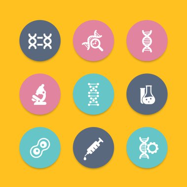 genetik simgeler, dna zinciri vektörü, genetik modifikasyon, dna çoğaltma, genetik araştırma, laboratuvar, yuvarlak düz simgeler seti, vektör illüstrasyon