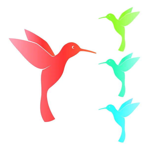 Colibri, beija-flor, isolado em branco, ilustração vetorial —  Vetores de Stock