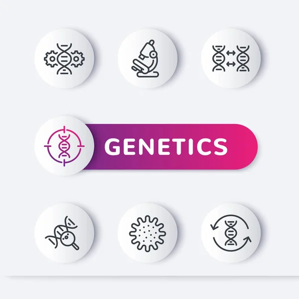 Genetika vonal ikonok, genetikai kutatás, DNS teszt — Stock Vector