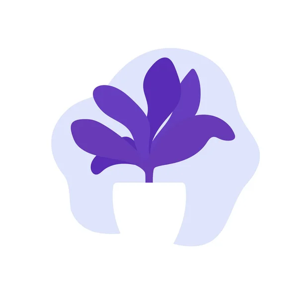 Plante aux feuilles violettes en pot, design vectoriel — Image vectorielle