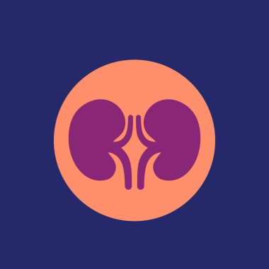 böbrekler ve nefroloji ikonu, vektör