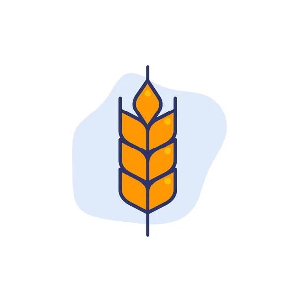 Пшенична векторна іконка з контуром — стоковий вектор