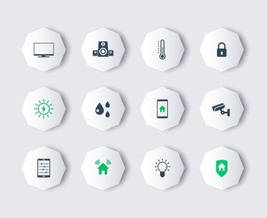 Smart house modern octagon icons