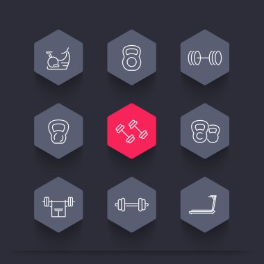 Gym equipment, line hexagon icons, vector illustration