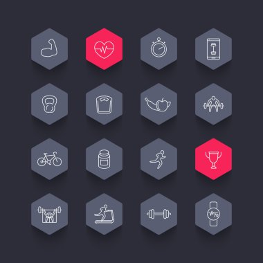 16 fitness, gym, training line hexagon icons, vector illustration