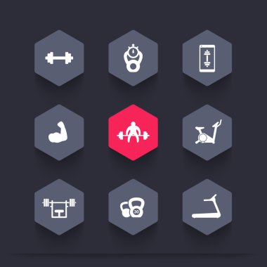 Gym, fitness, workout, training, biceps hexagon icons, vector illustration
