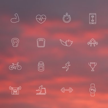 16 fitness, training, gym thin line icons, white transparent set, vector illustration