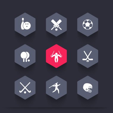 sport, games, competition hexagon icons, bowling, football, cricket, soccer, hockey icon, vector illustration clipart