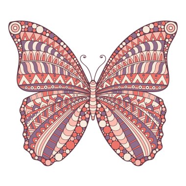 vektör arka kelebek