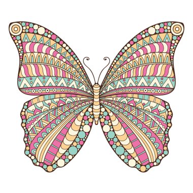 vektör arka kelebek