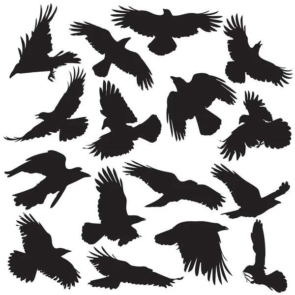 Crow silhouette set 02 — Stock Vector