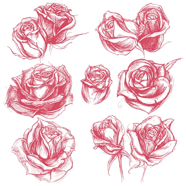 Roses Set de dessin 001 — Image vectorielle