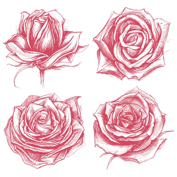 Rose Set di disegno 002 — Vettoriale Stock