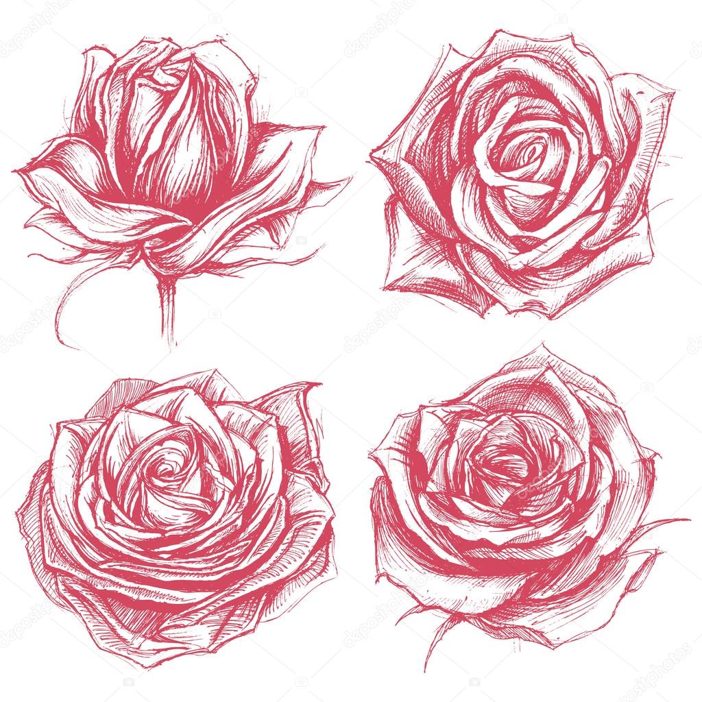 Roses Drawing set 002
