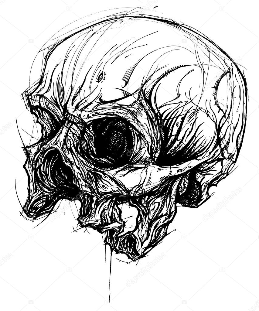 Broken Skull Drawing line work vector