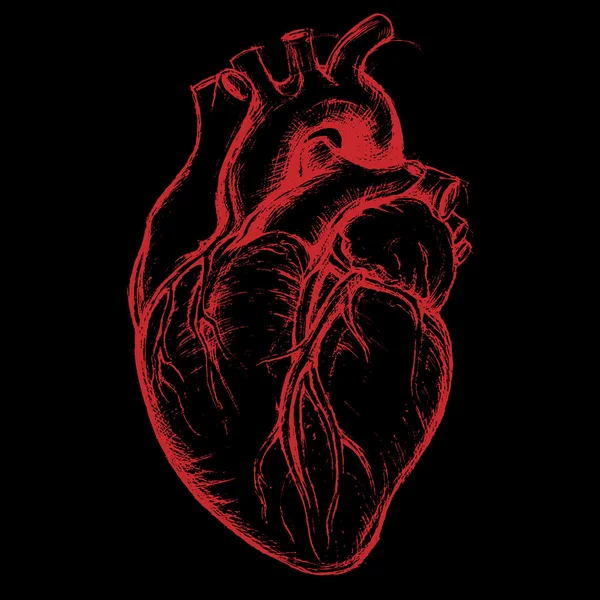 Corazón humano Dibujo línea de trabajo — Vector de stock