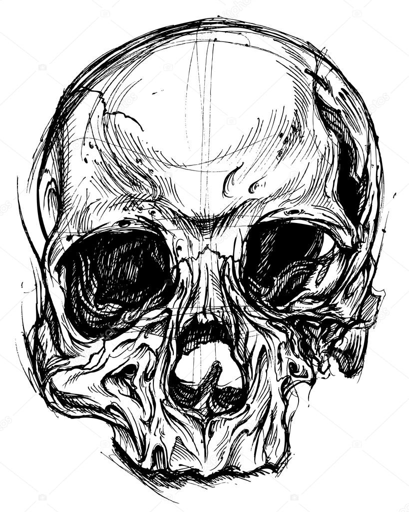 Broken Skull Drawing line work vector