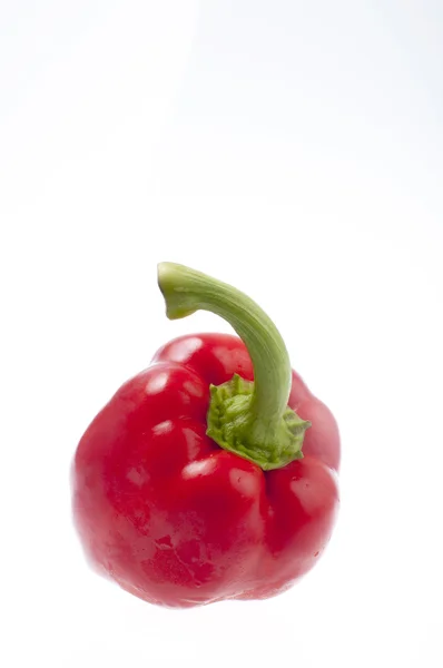 Chilies — Stock Photo, Image