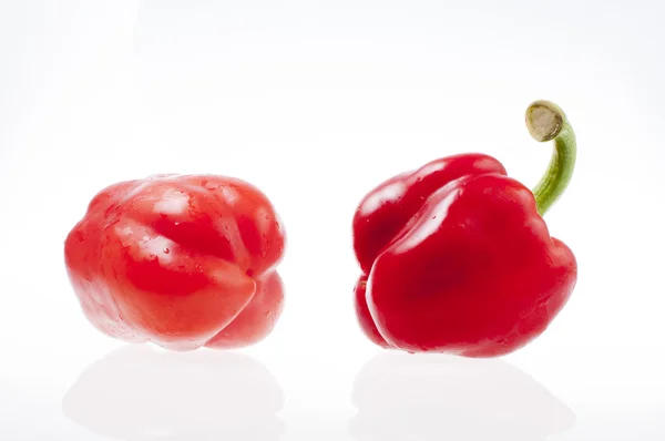 Chilies — Stock Photo, Image