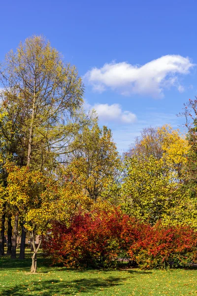 Bir sessiz şehir parkında yer
