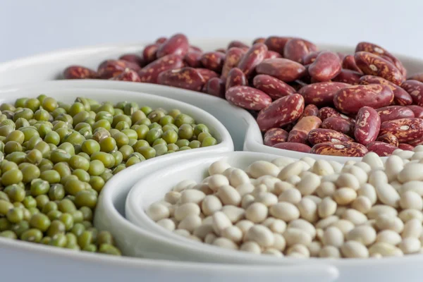 Multicolored beans in ceramics bowl — Stock Photo, Image