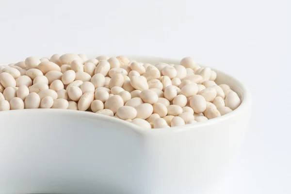 White beans in white ceramics bowl — Stock Photo, Image