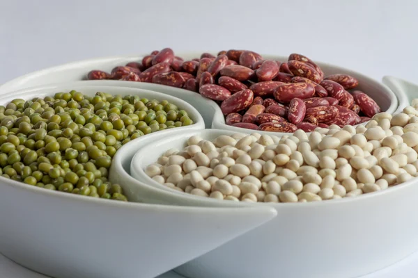 Multicolored beans in ceramics bowl — Stock Photo, Image