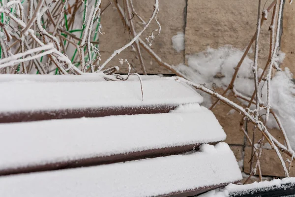 donmuş tezgah portre